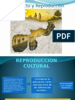 Conflicto y Reproduccion