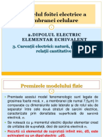 6.  Modelul foitei electrice.pdf