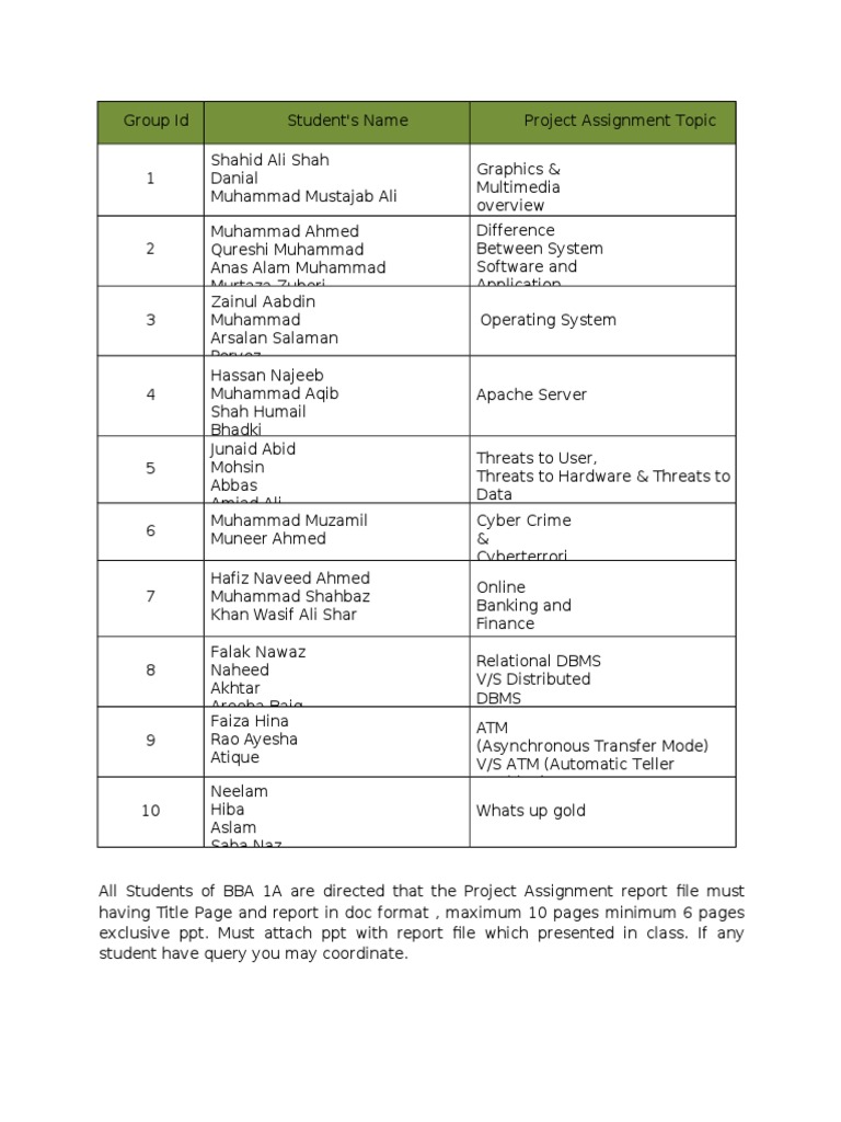 BBA Project Assignment Guidelines | PDF