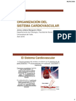 Organizanción Del Sistema Cardiovascular 2016