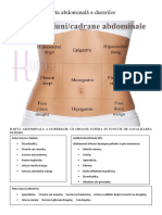 Harta Abdominala A Durerii