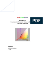 RGB Space PDF