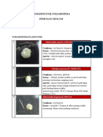 Lampiran Foraminifera Planktonik