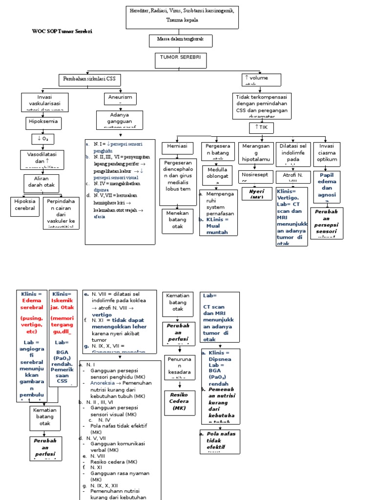 Pathway Sop Cerebry