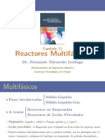 Ejemplos reactores multifasicos