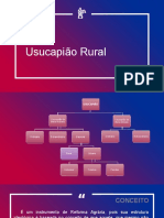 Usucapião Rural 