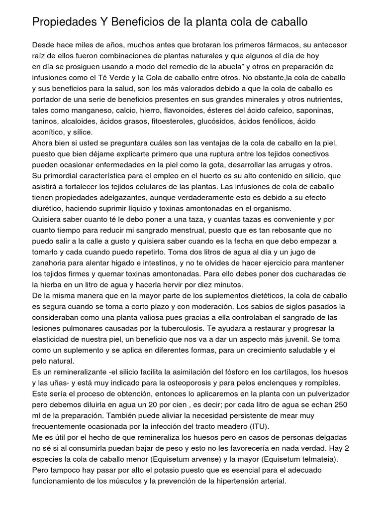 Propiedades Y Beneficios De La Planta Cola De Caballo Te Agua