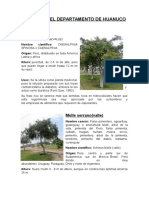 ARBOLES DEL DEPARTAMENTO DE HUANUCO - Estrada Maylle Ruth