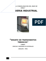 Informe de Tratamientos Termicos