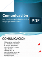 Comunicación y Afasia