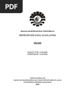 Download Makalah Reproduksi Ayam by Hilman As Siddiq SN315521220 doc pdf