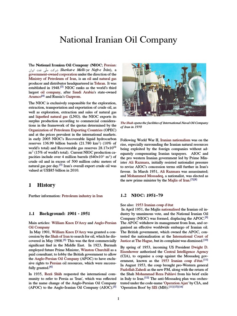 National Iranian Oil Company | PDF | Petroleum Industry | Petroleum
