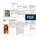 Album Bacterias PDF
