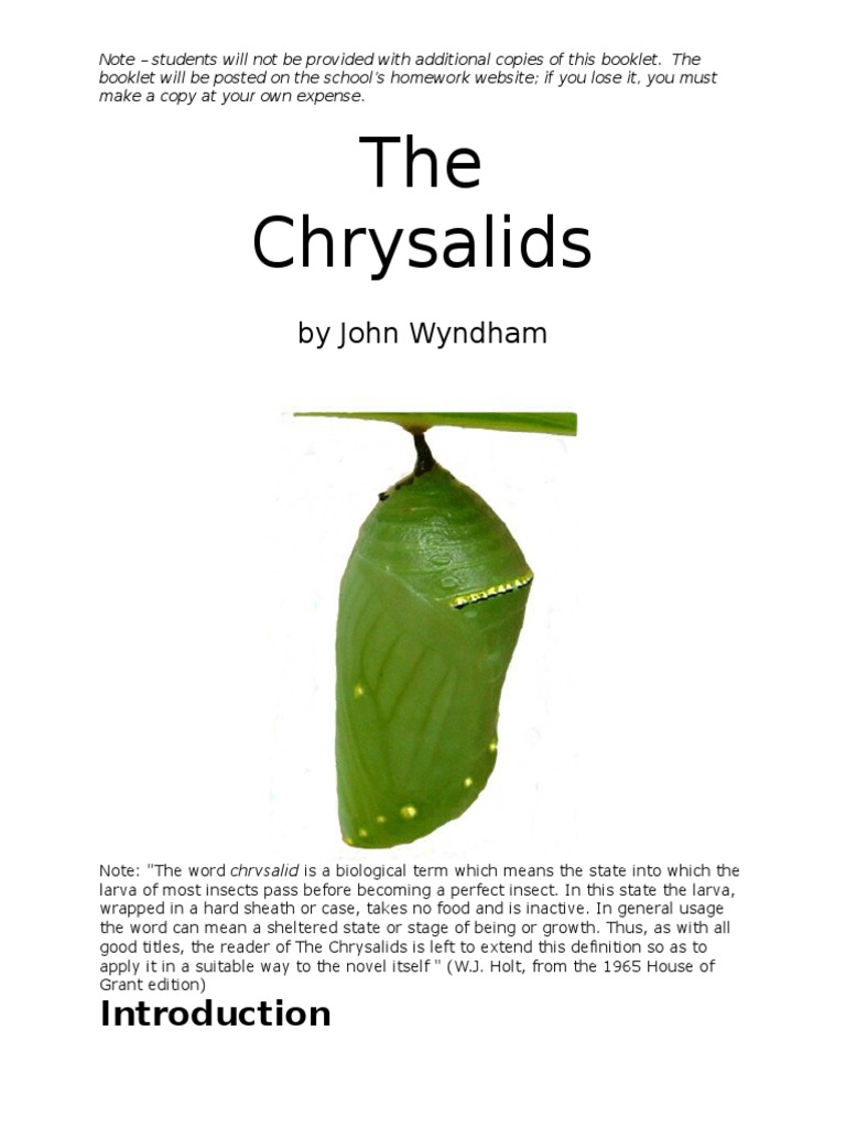 Chrysalids Summary – The Chrysalids Summary – WEVBZ