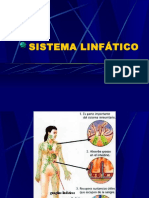 Sistema Linfatico