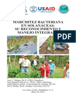 Manual Marchitez Bacteriana