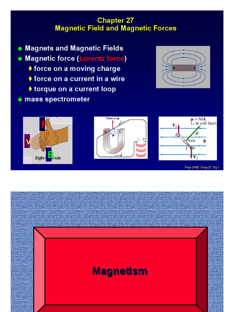 Magnetic Field and Magnetic Forces | PDF | Magnetic Field | Magnet