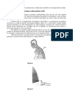 Diagnosticul Microbiologic Si Imunobiologic 7