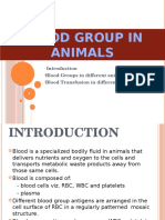 Blood Group in Animal