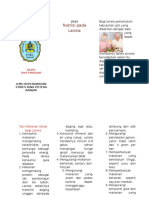 Dokumen.tips Leaflet Nutrisi Pada Lansia