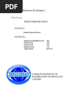 Business Economics TELECOMMUNICATION