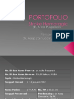 Portofolio CVD Hemoragic