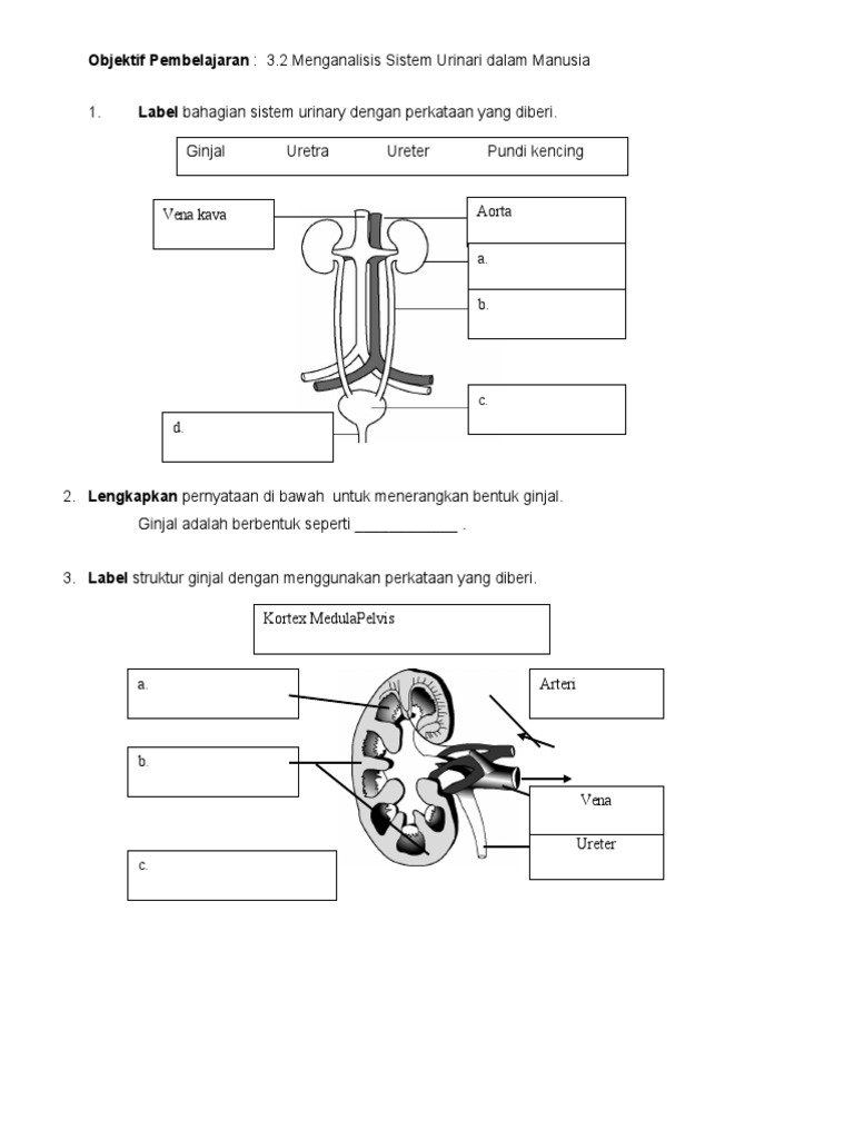 Modul Latihan Sains Tingkatan 3  PDF