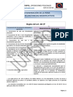 Esquema - 79 - Determinacion de La Pena Art 66 PDF