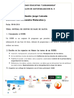 taller de  autoevaluacion n. 3.docx