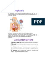 Sistema Respiratorio