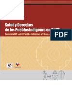 Salud y Derecho de Los Pueblos Indigenas en Chile