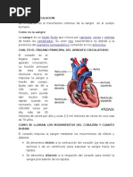 Preguntas Sistema Circulatorio