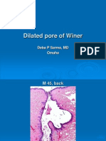 Dilated Pore of Winer 