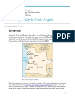 Angola LNG Project