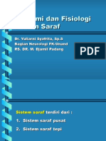 69831117-Anatomi-Dan-Fisiologi-saraf.ppt