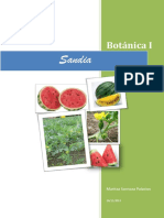 Sandia PDF