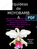 orquideas de Moyobamba