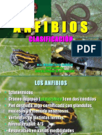 ANFIBIOS Sistwemática1