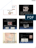 Premolar Superior PDF