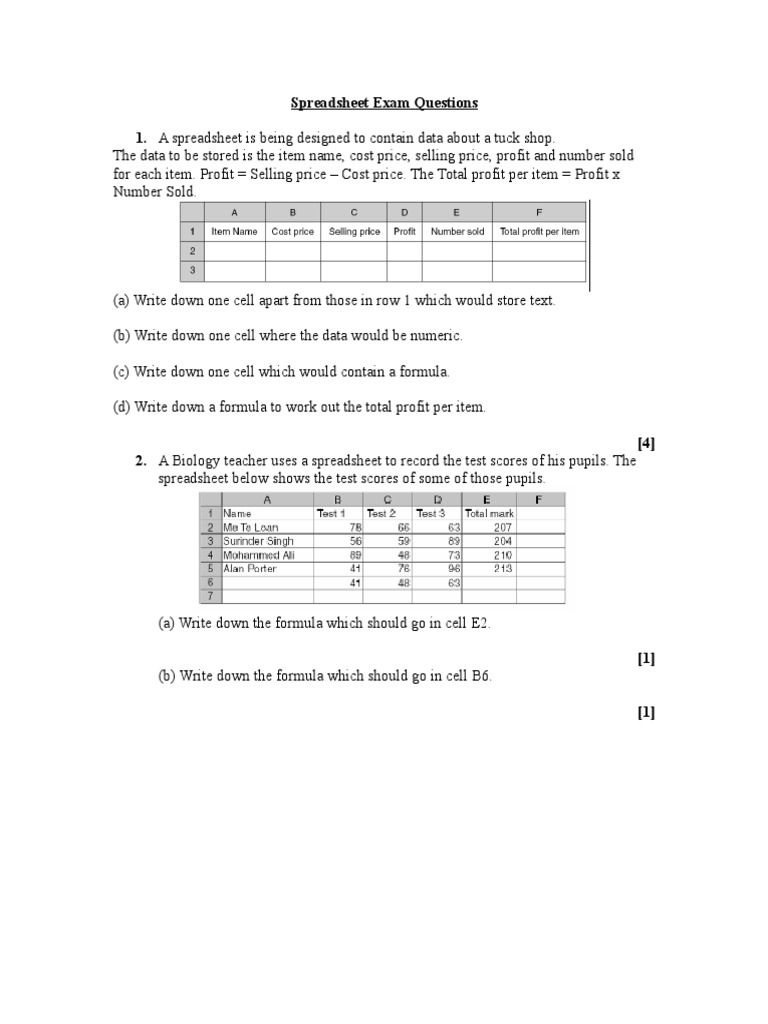 Excel Spreadsheet Questions Form PDF
