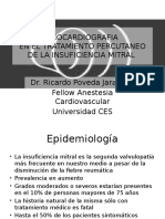 Transesophageal Echocardiography in  Percutaneous Treatment of Mitral Insufficiency