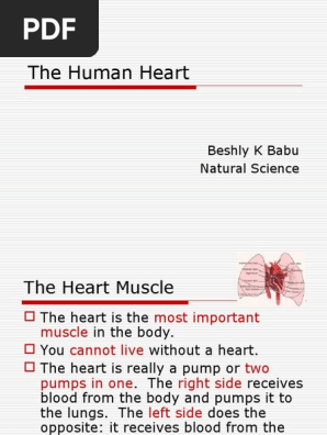 The Human Heart