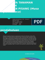 Pisang