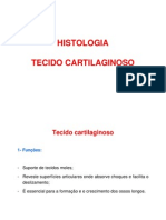 Tecido Cartilaginoso