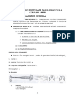 Curs 1 Principii Echo RX RMN CT