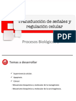 Semana 13 Clase 1 PB2 PDF