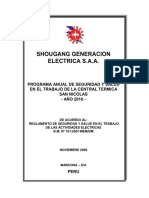 Programa_anual_seguridad_salud_2010.pdf