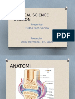 CSS Osteoartritis