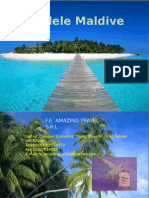 Insulele Maldive 