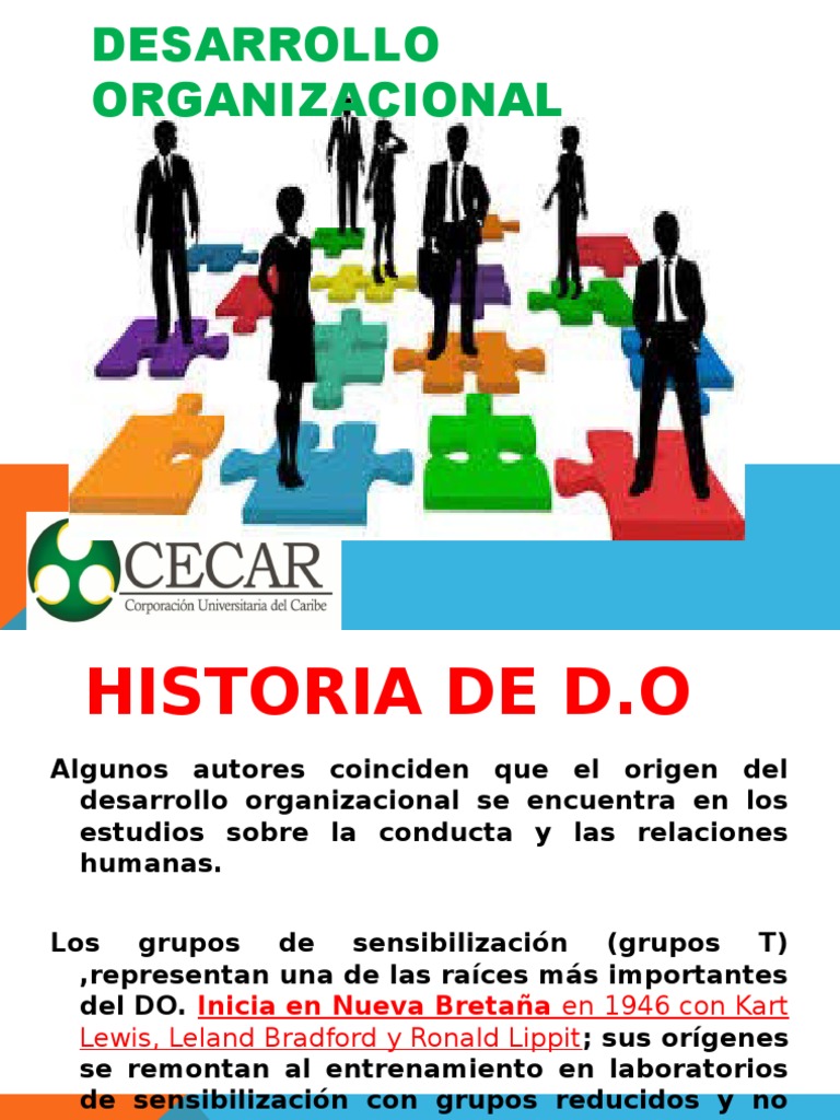 Desarrollo Organizacional | PDF | Desarrollo organizacional | Conflicto